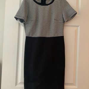 NWT Loft Dress